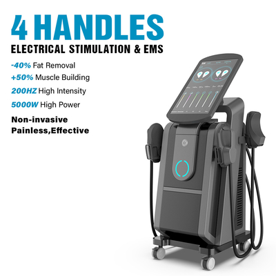 Ce / Fda Gran pantalla profesional Ems estimulador muscular guapo aumentar la construcción de la máquina de entrenamiento pelvica suelo